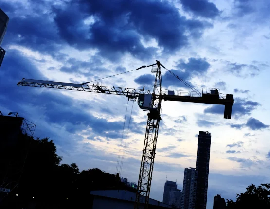 crane electronic motor